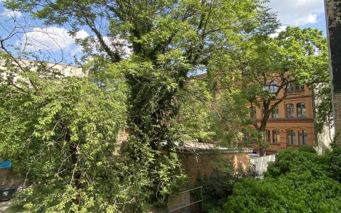 Aussicht Balkom im Sommer